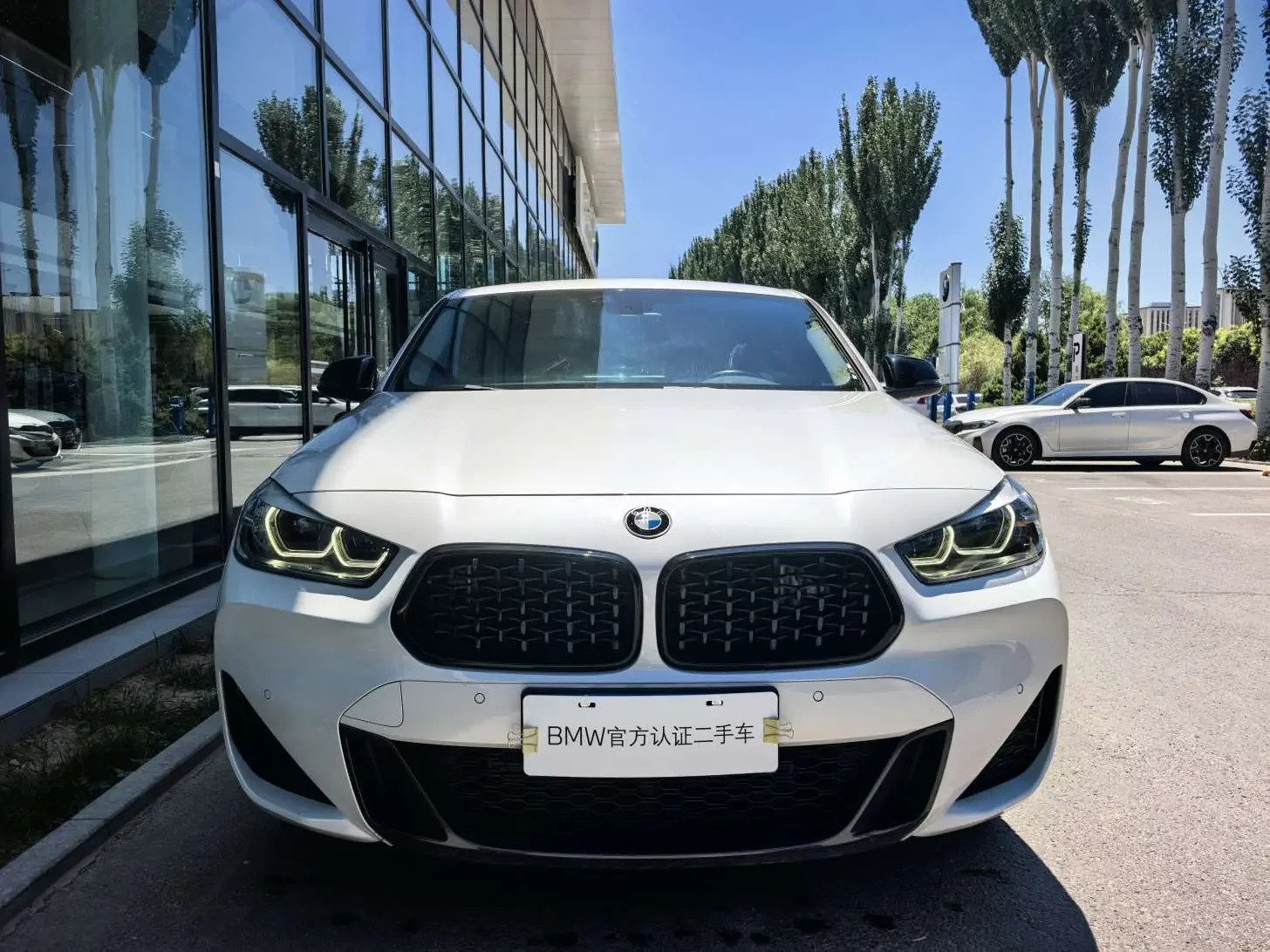 BMW X2