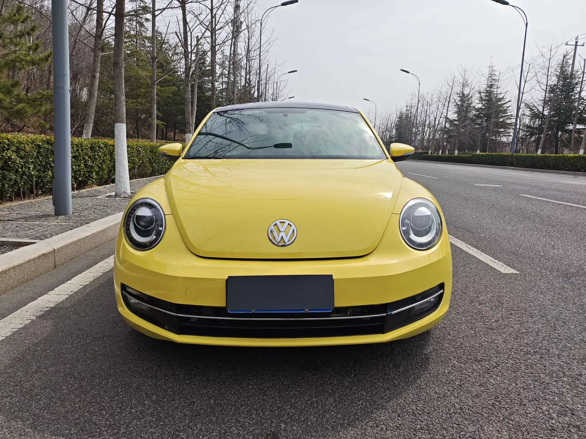 Volkswagen Beetle