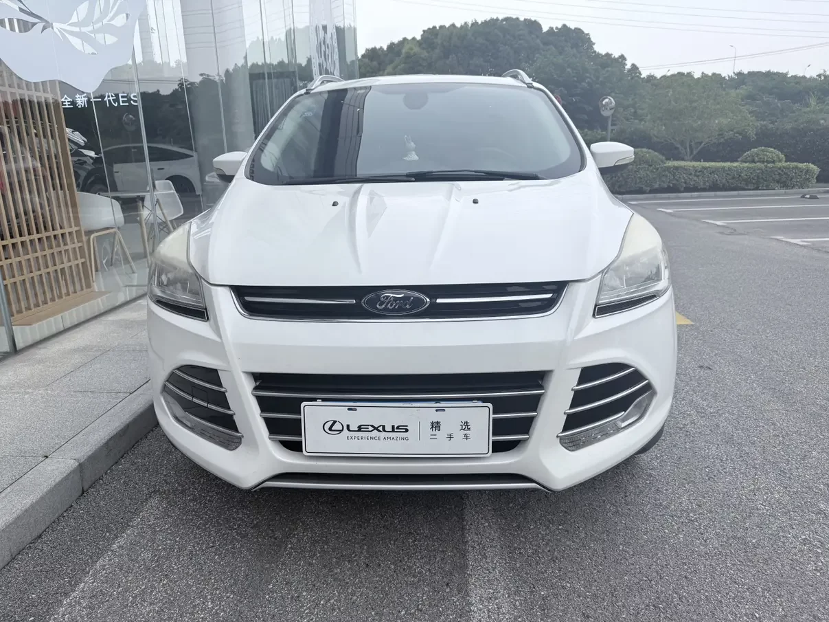 Ford wing tiger
