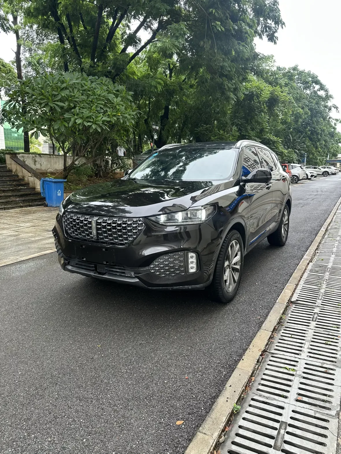 Wey Wei brand VV6