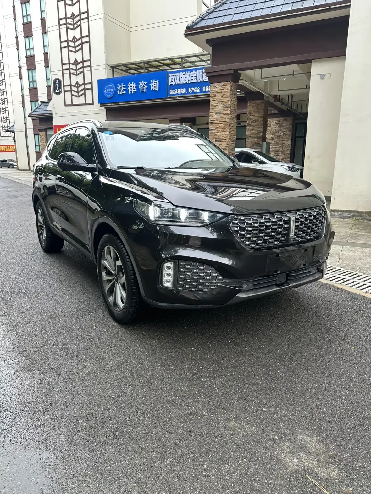 Wey Wei brand VV6