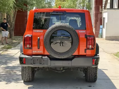 TANK 300