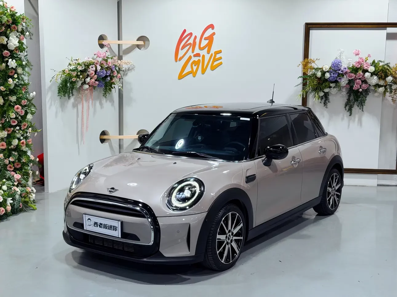 MINI 