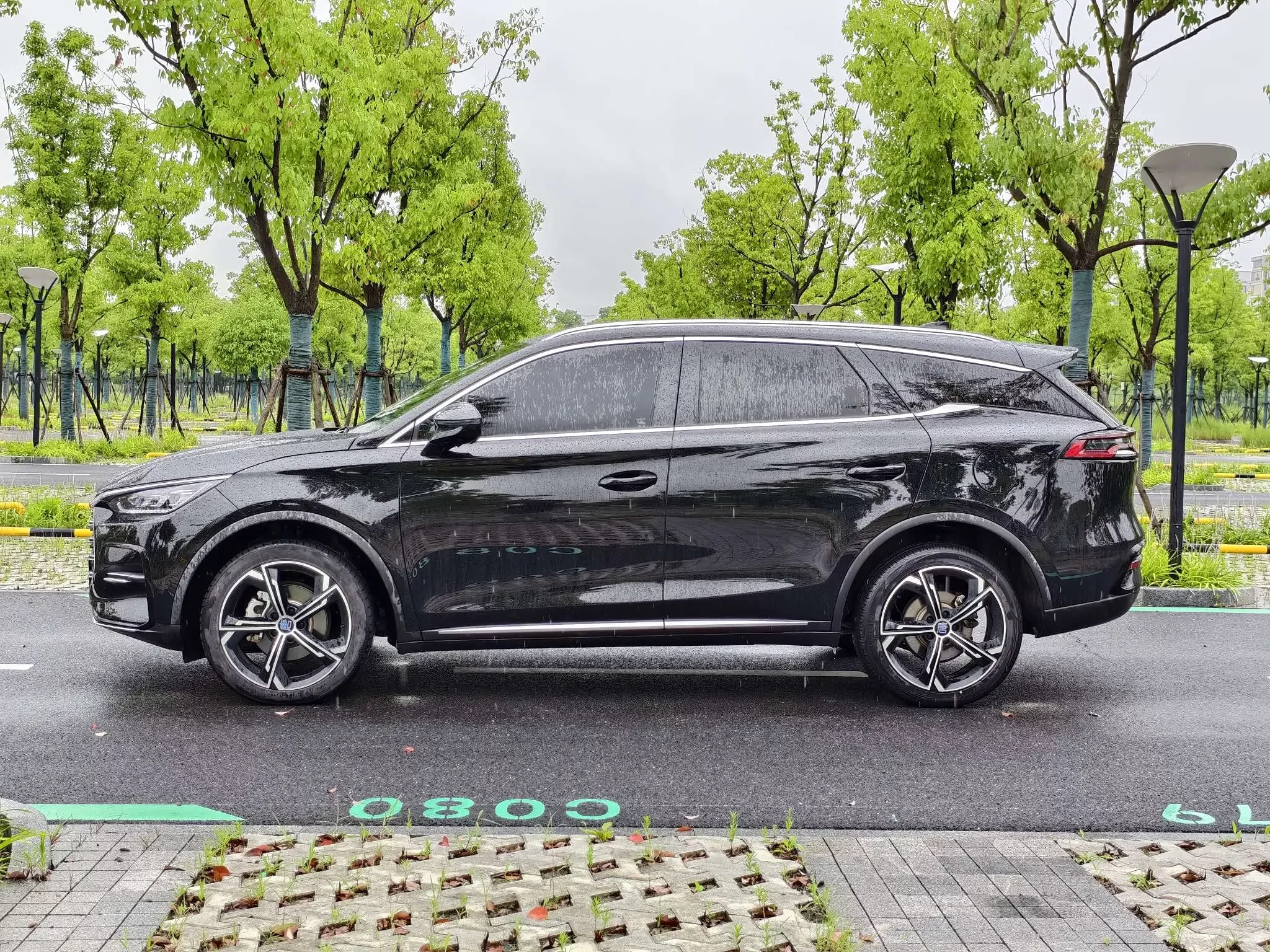 BYD Tang DM