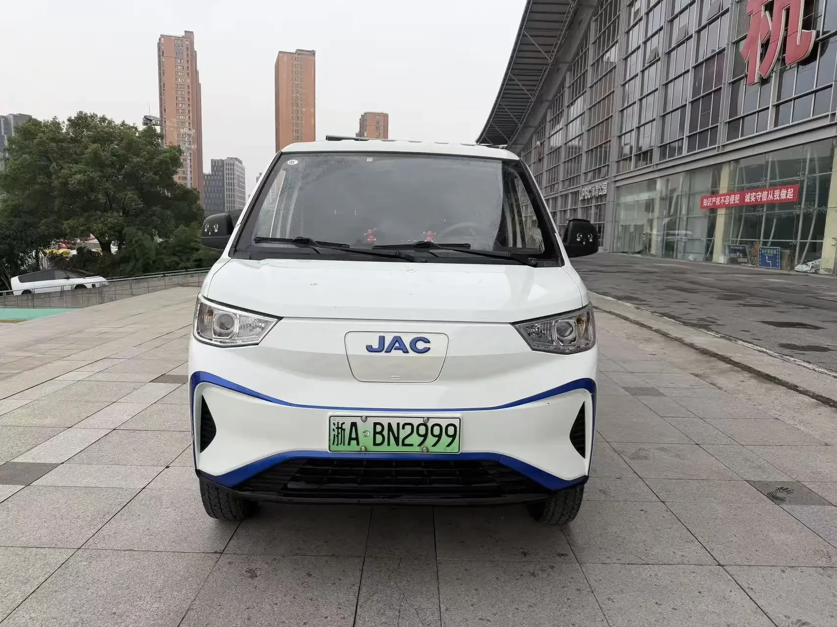 Jiangxi blue cat