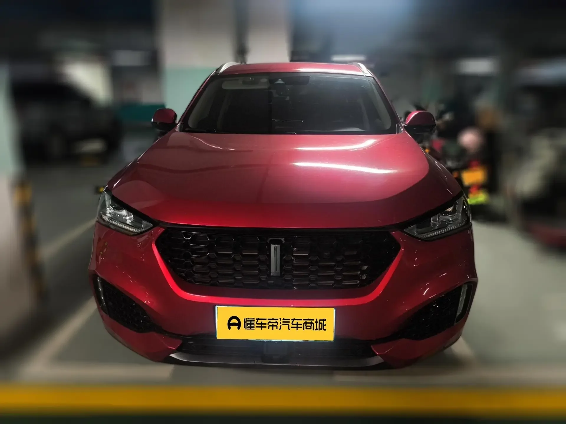 Wey Wei brand VV6