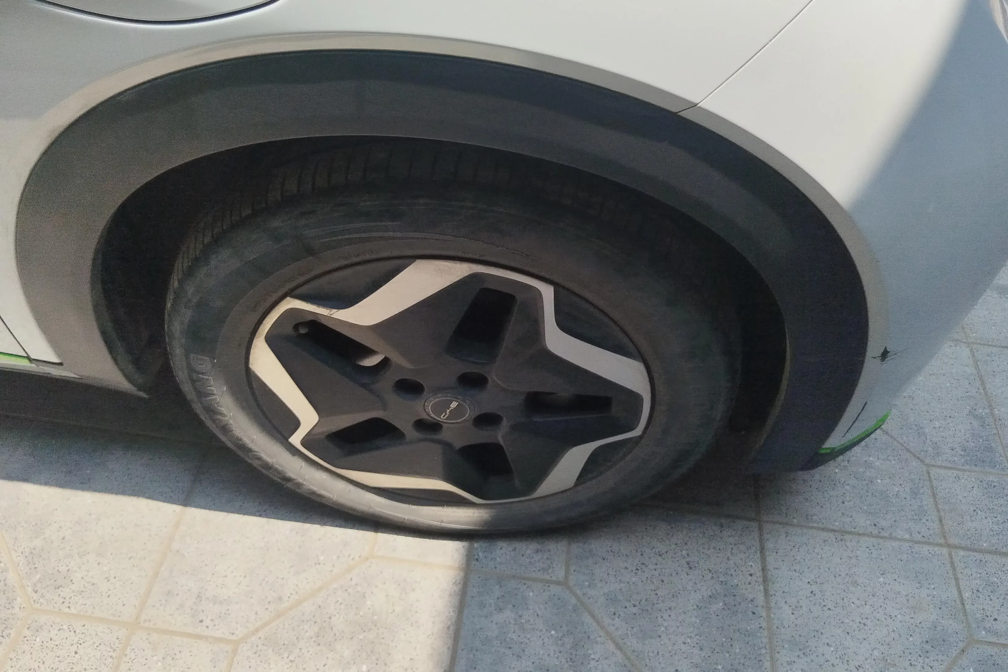 BYD dolphin