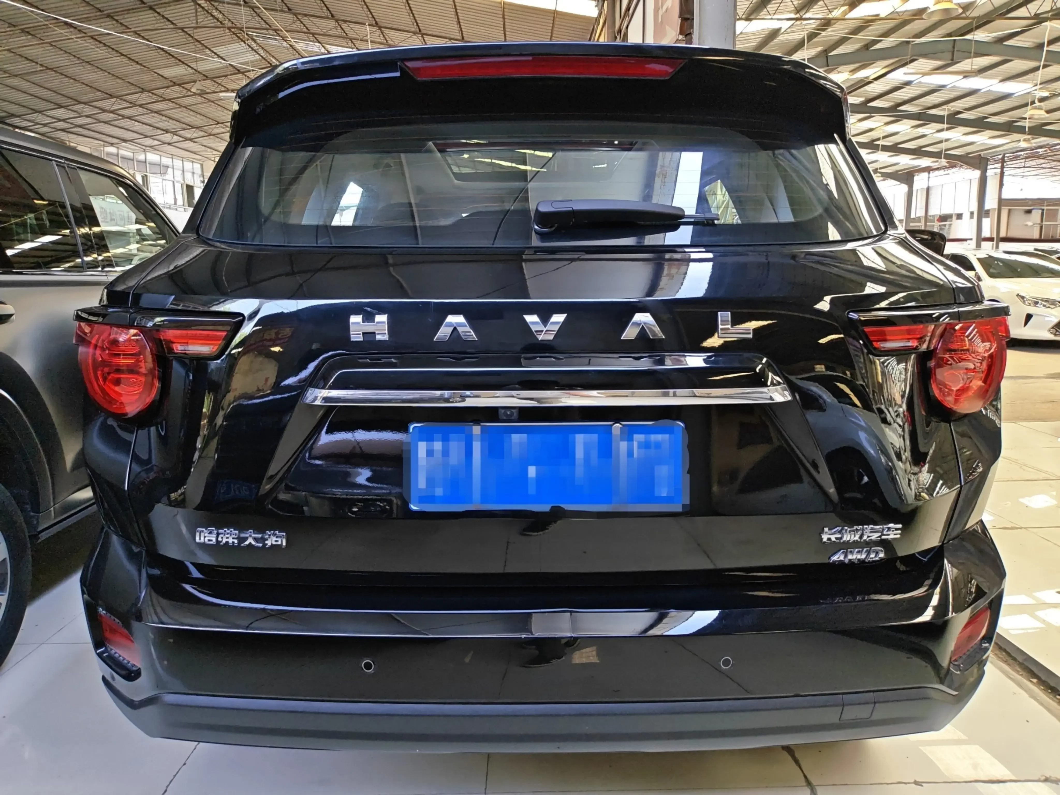 Haval H-Dog