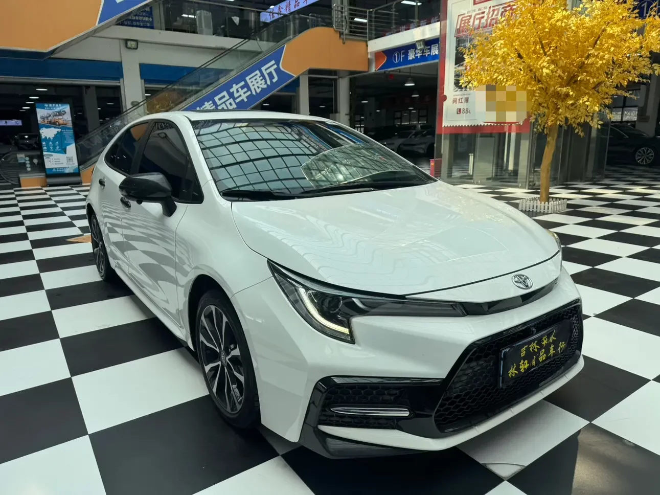 Toyota Levin