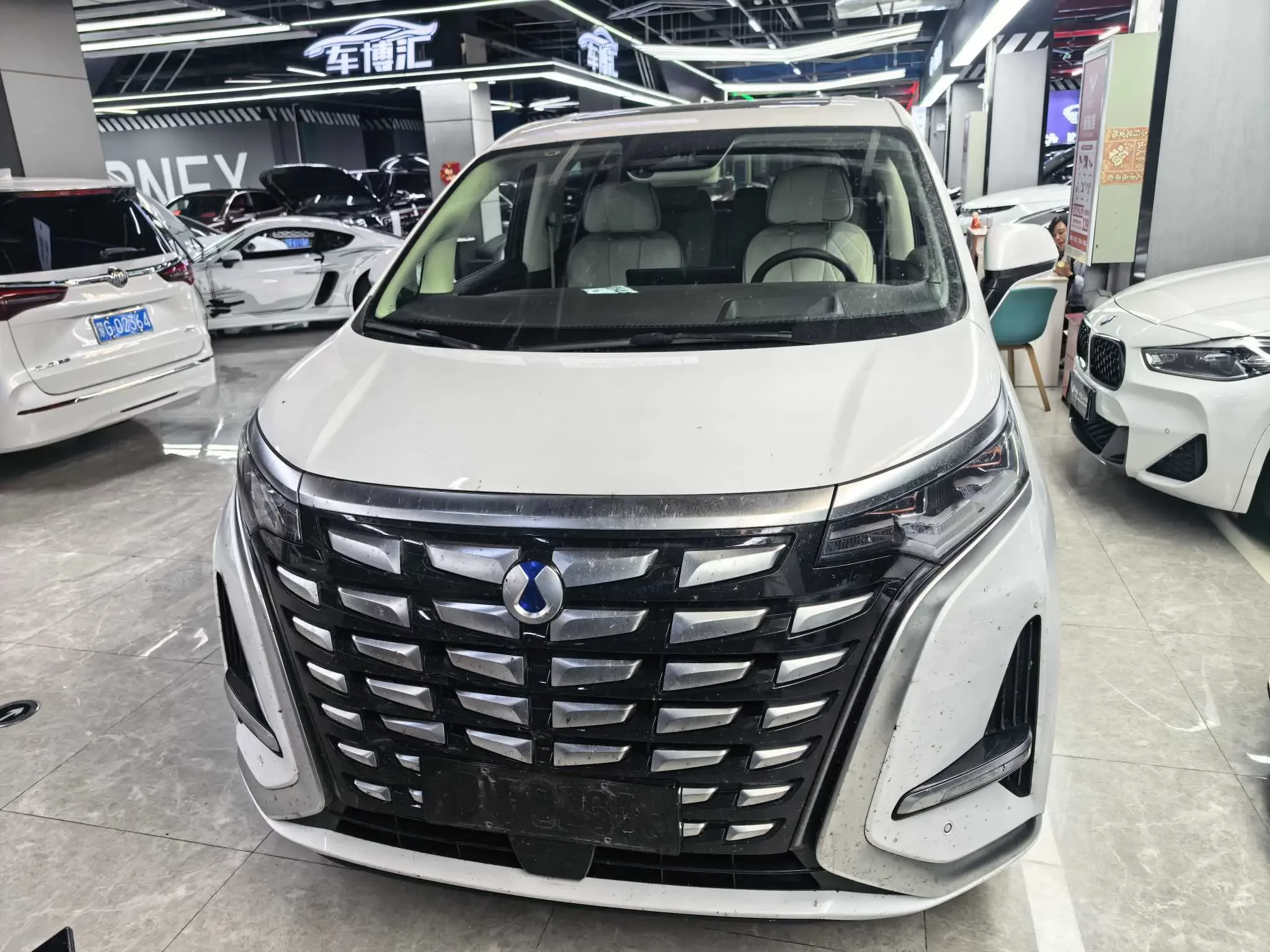 Denza D9 DM