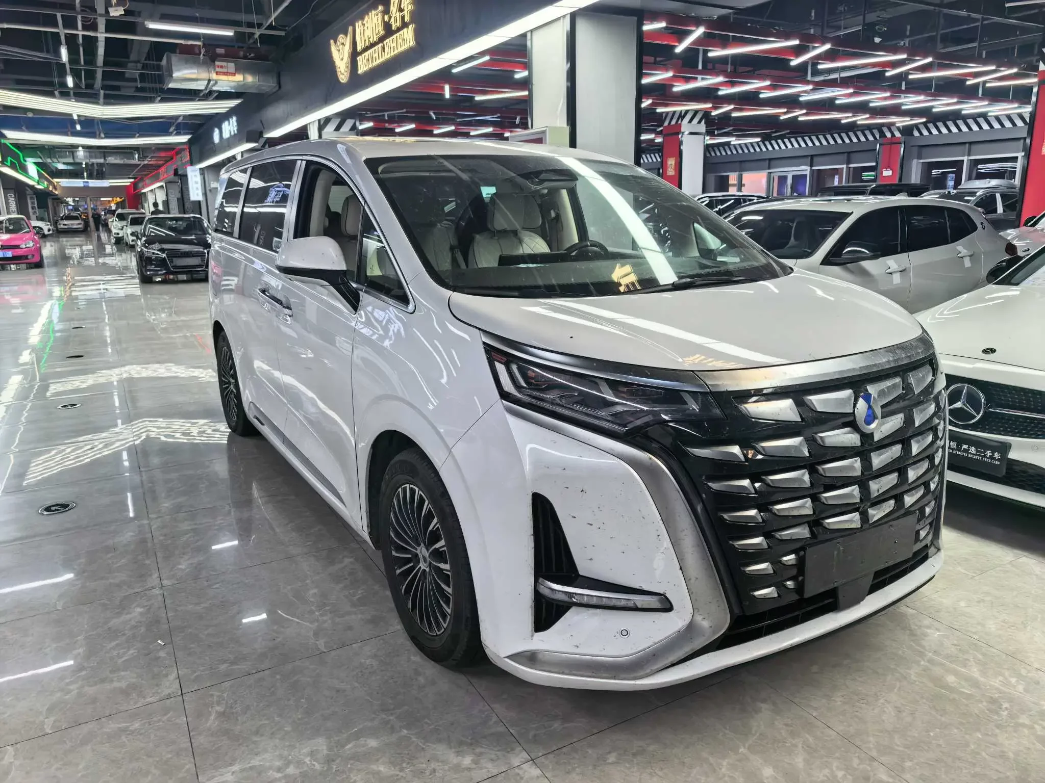 Denza D9 DM