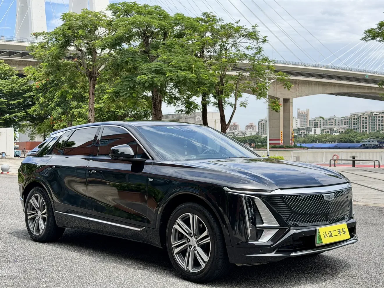 Cadillac IQ Ruige