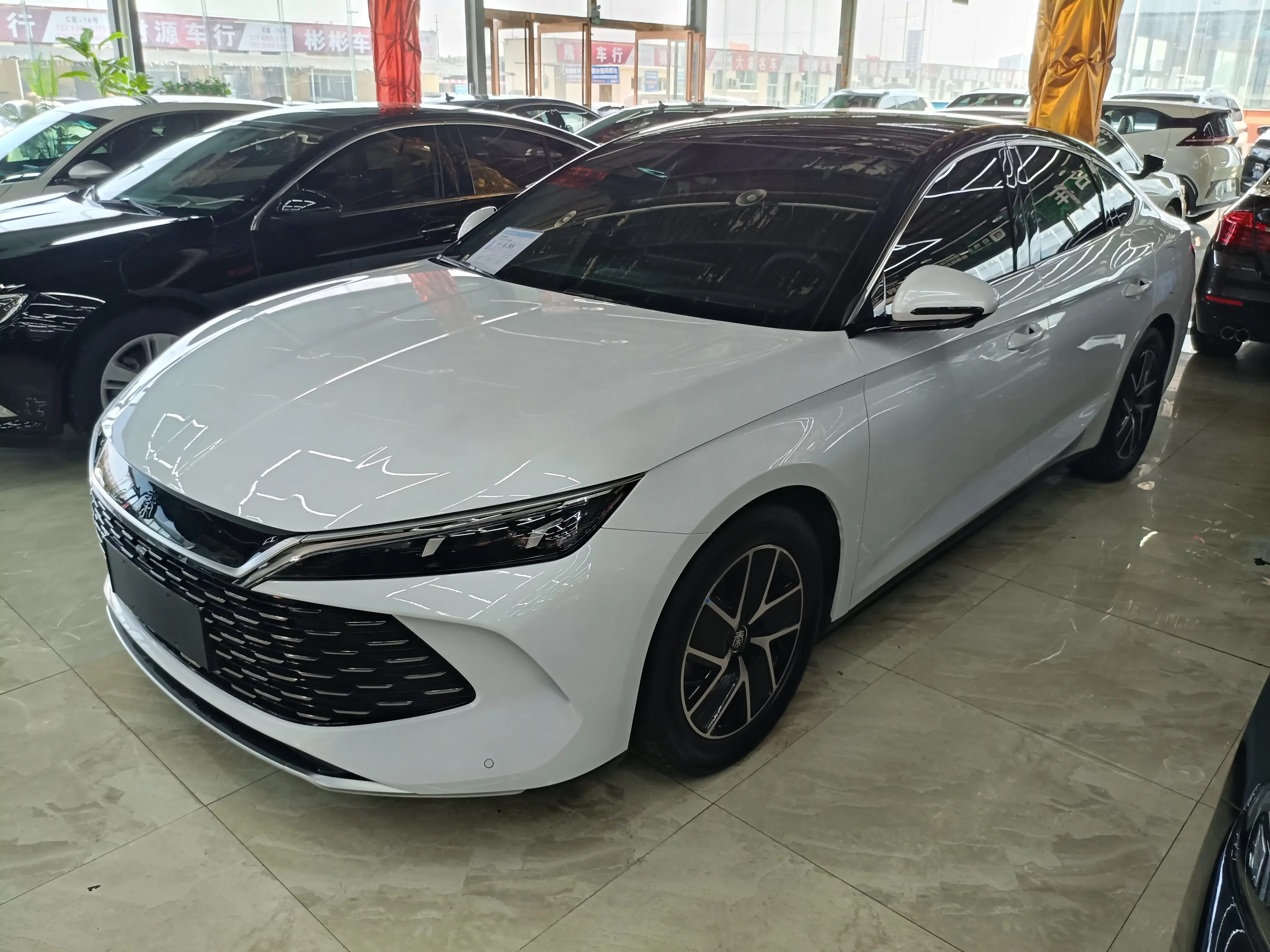 BYD Qin L DM