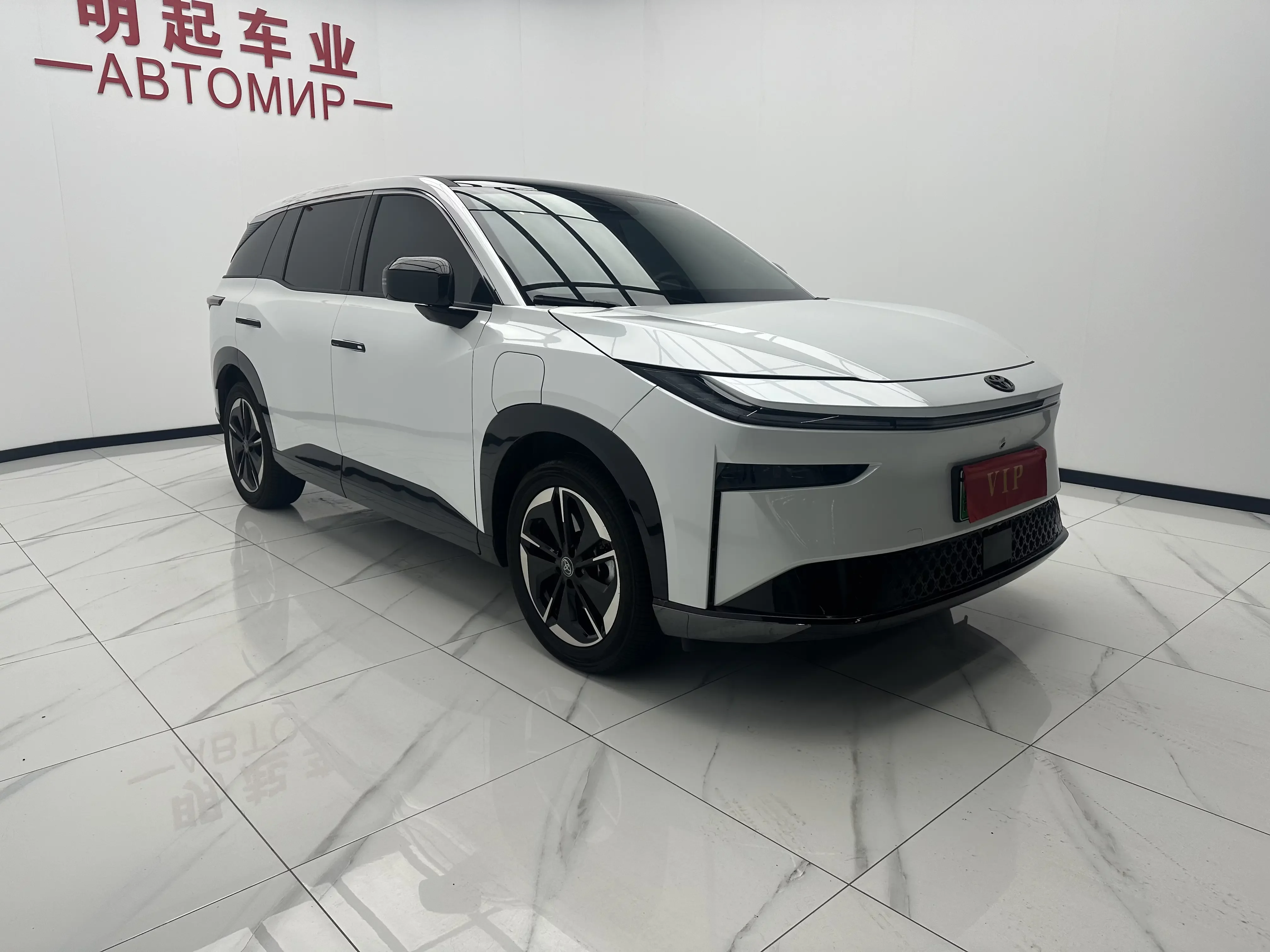 Toyota Bozhi 3X
