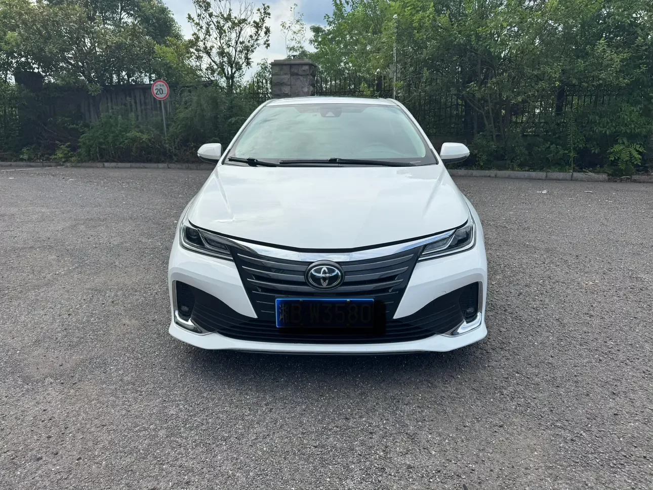 Toyota Asiatic lion