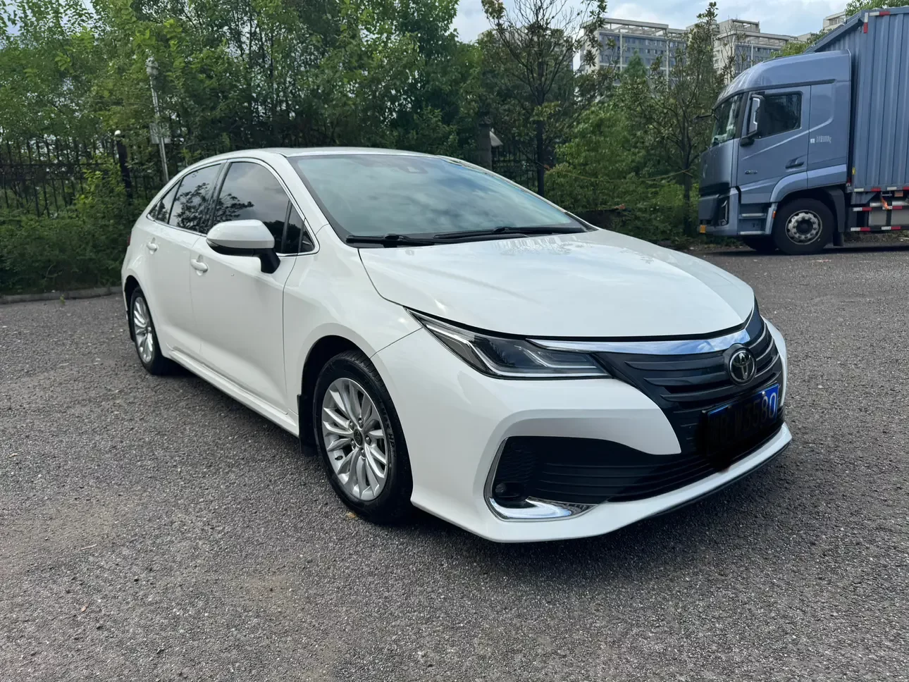 Toyota Asiatic lion