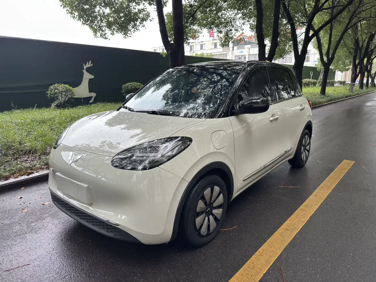 Wuling Bingo