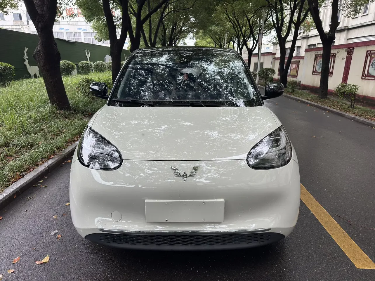 Wuling Bingo