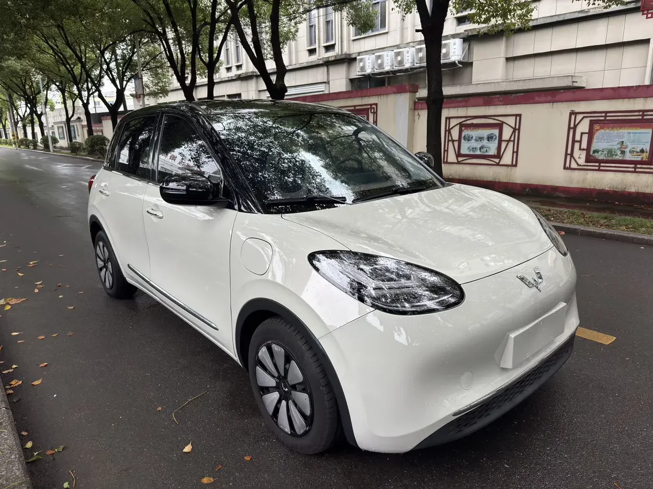 Wuling Bingo