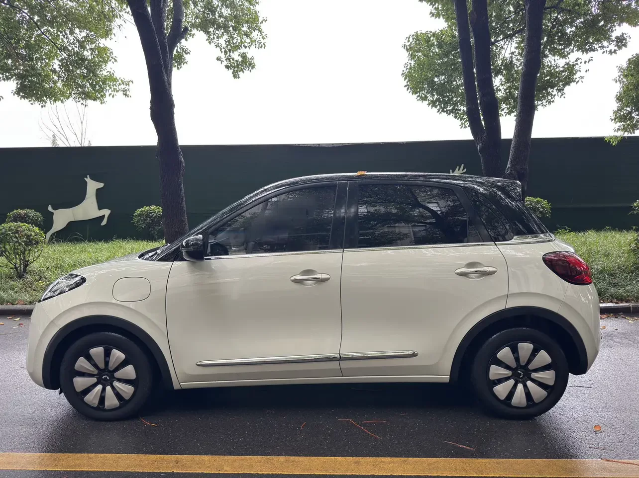 Wuling Bingo