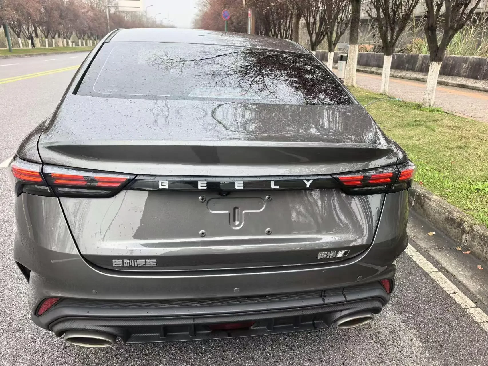 Geely Binrui