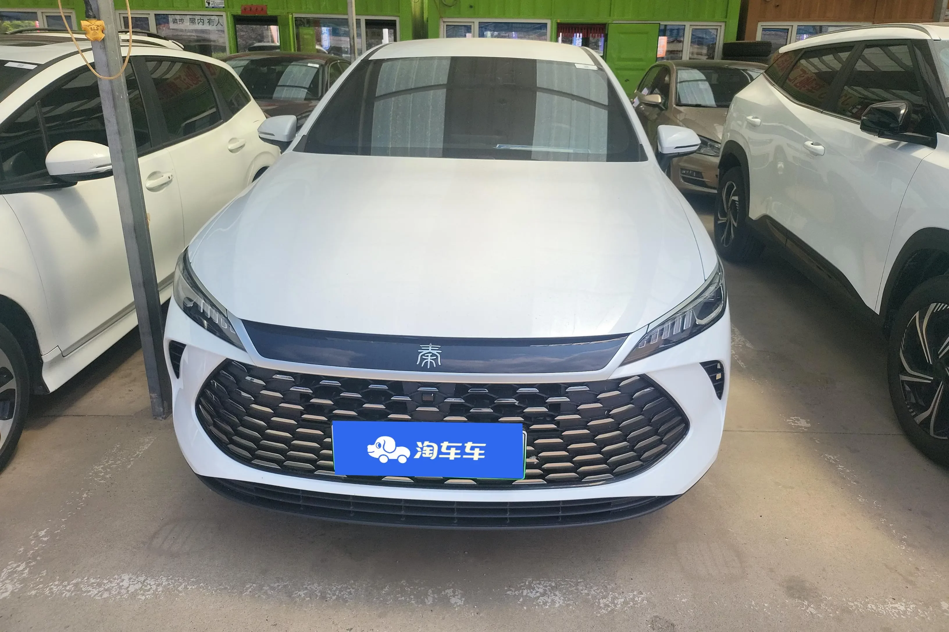 BYD Qin PLUS DM