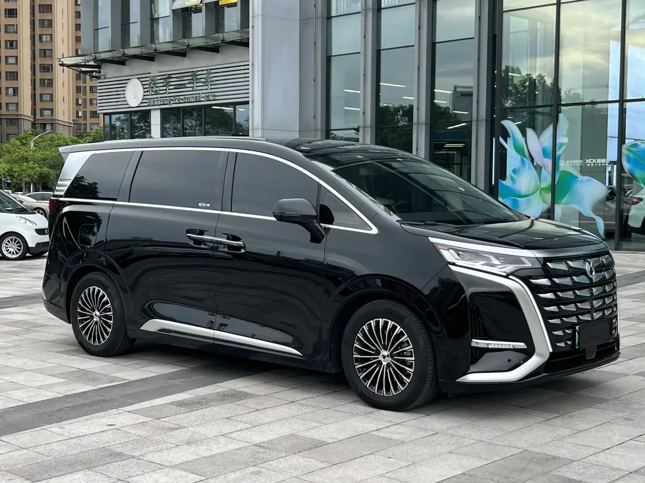 Denza D9 DM