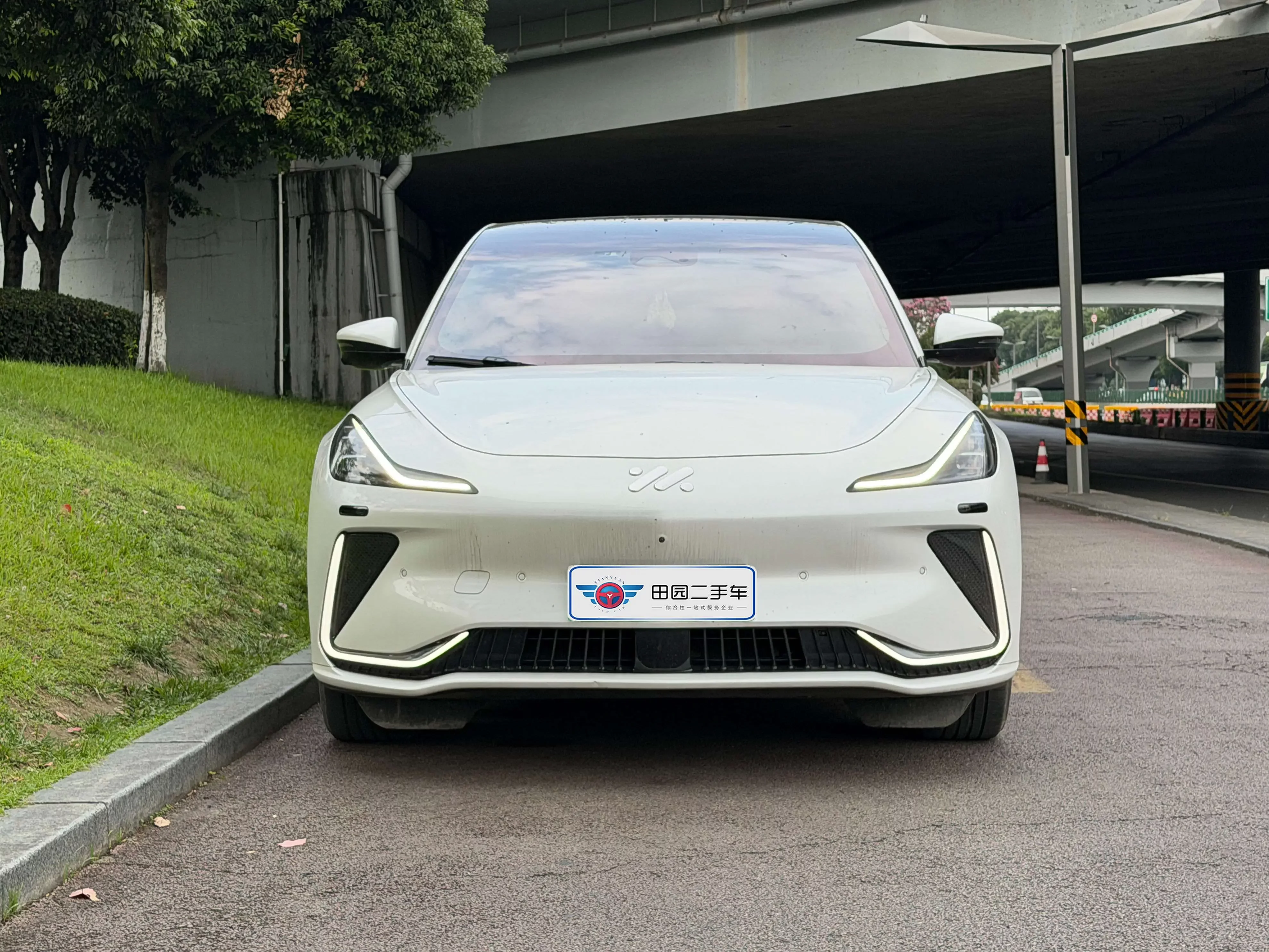 IM Motors LS7