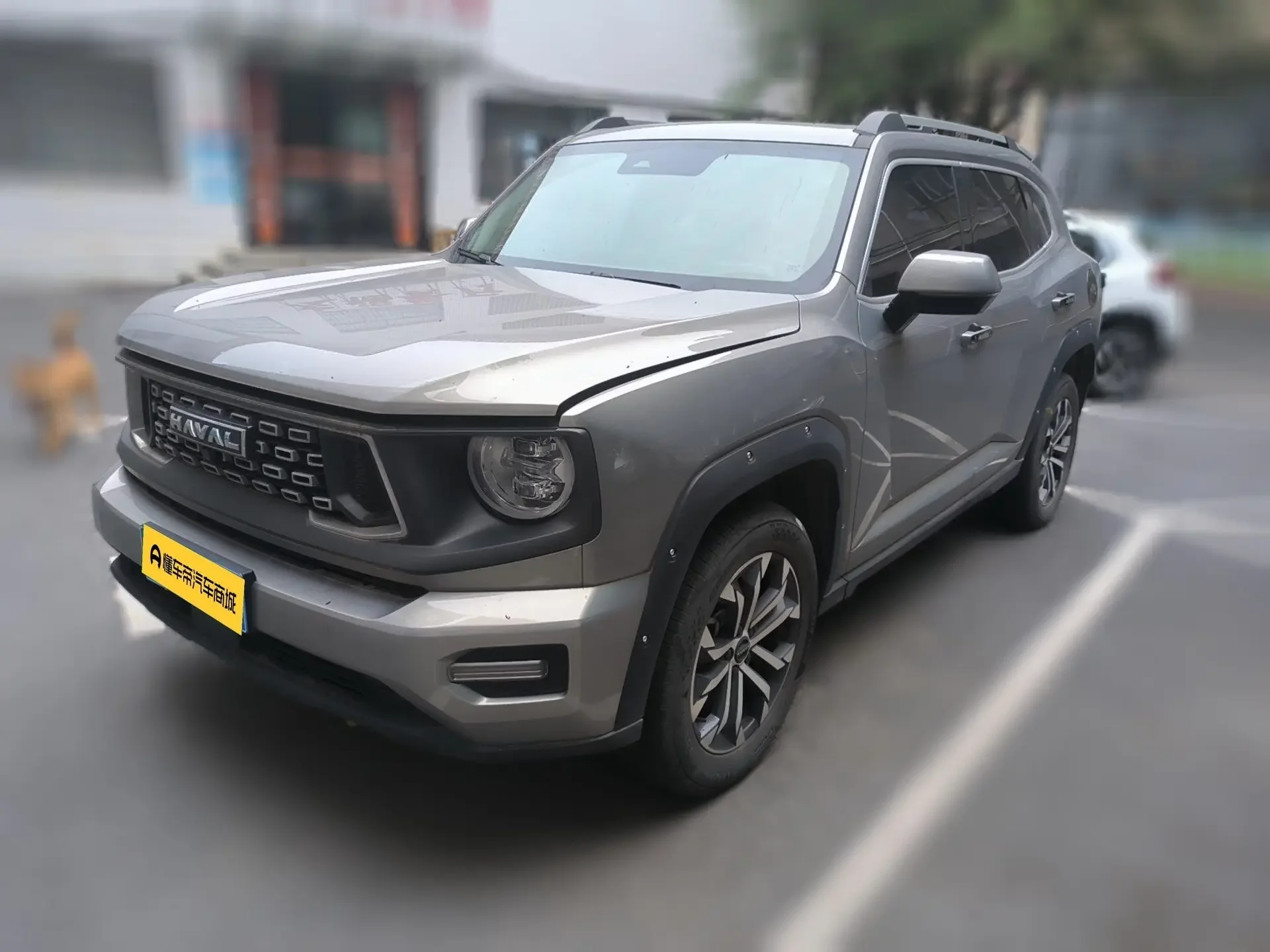 Haval H-Dog