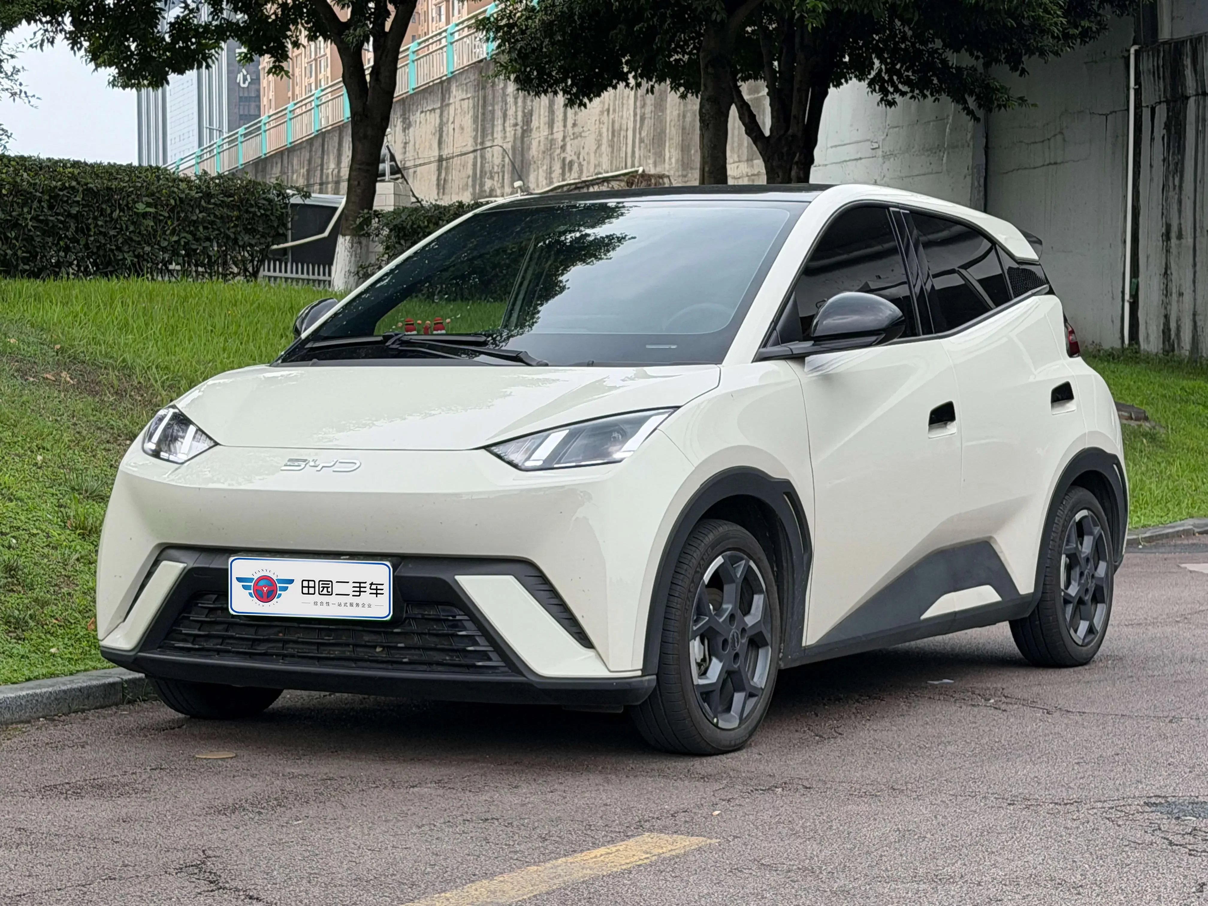 BYD seagull