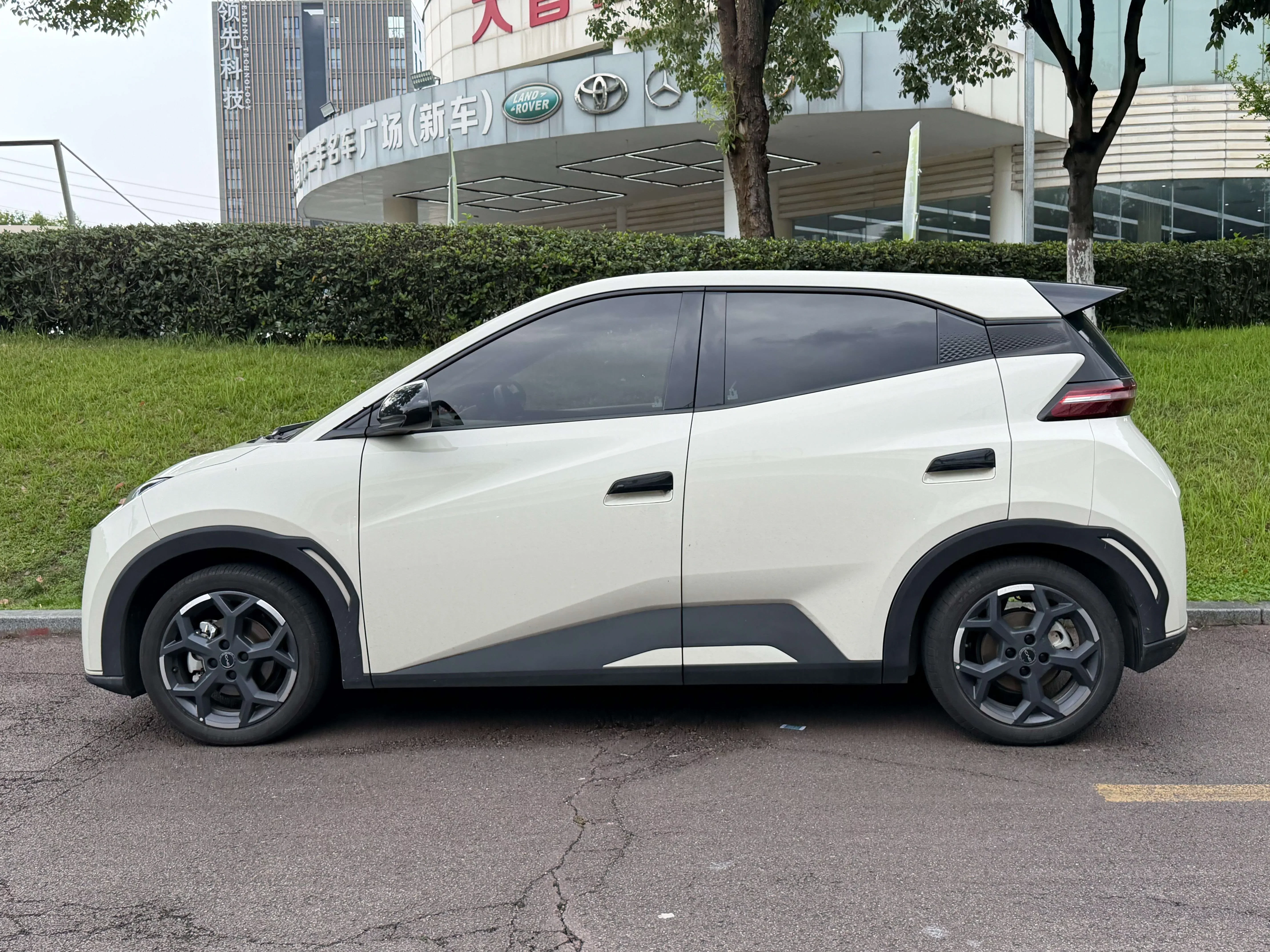 BYD seagull