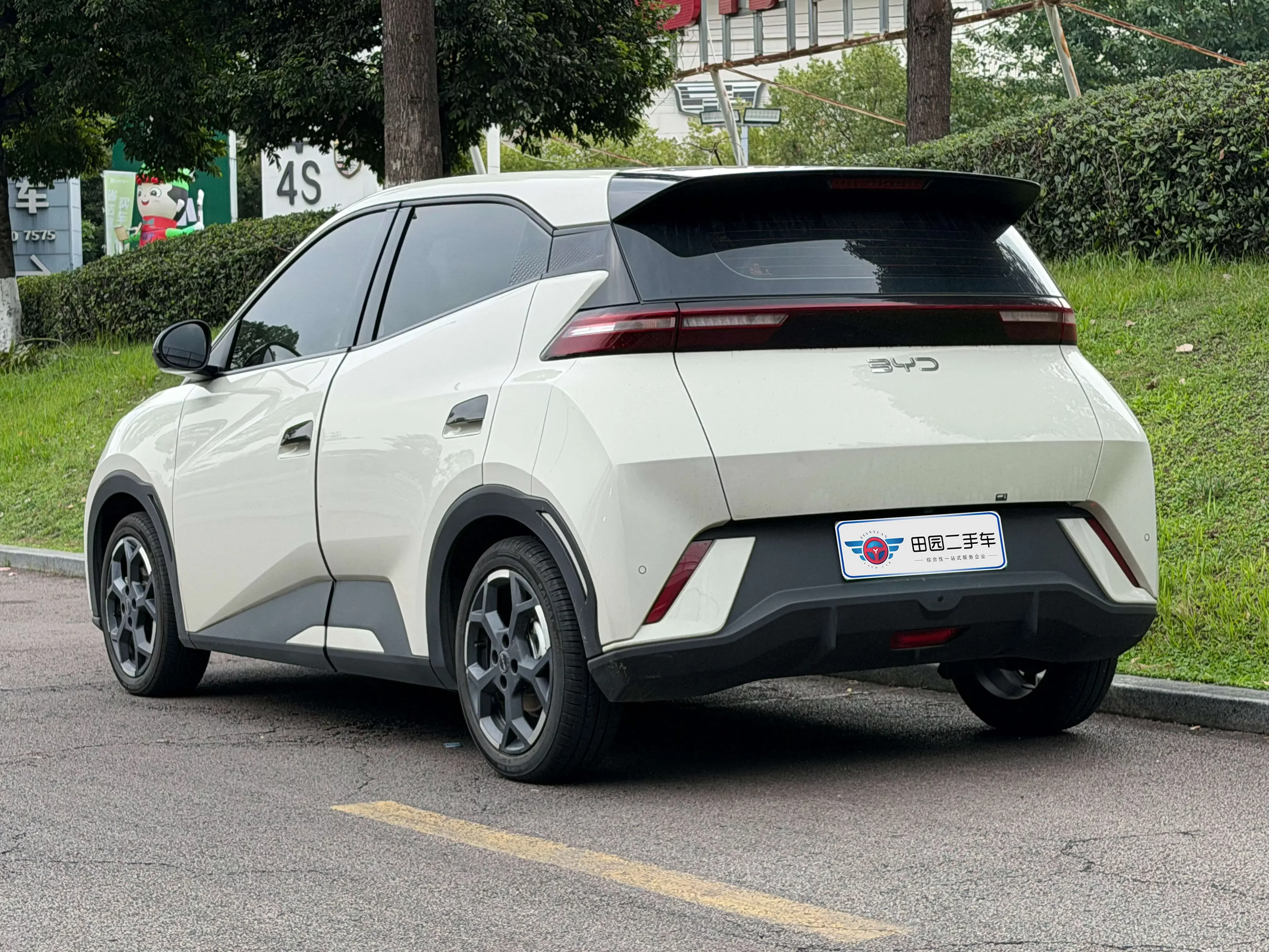 BYD seagull