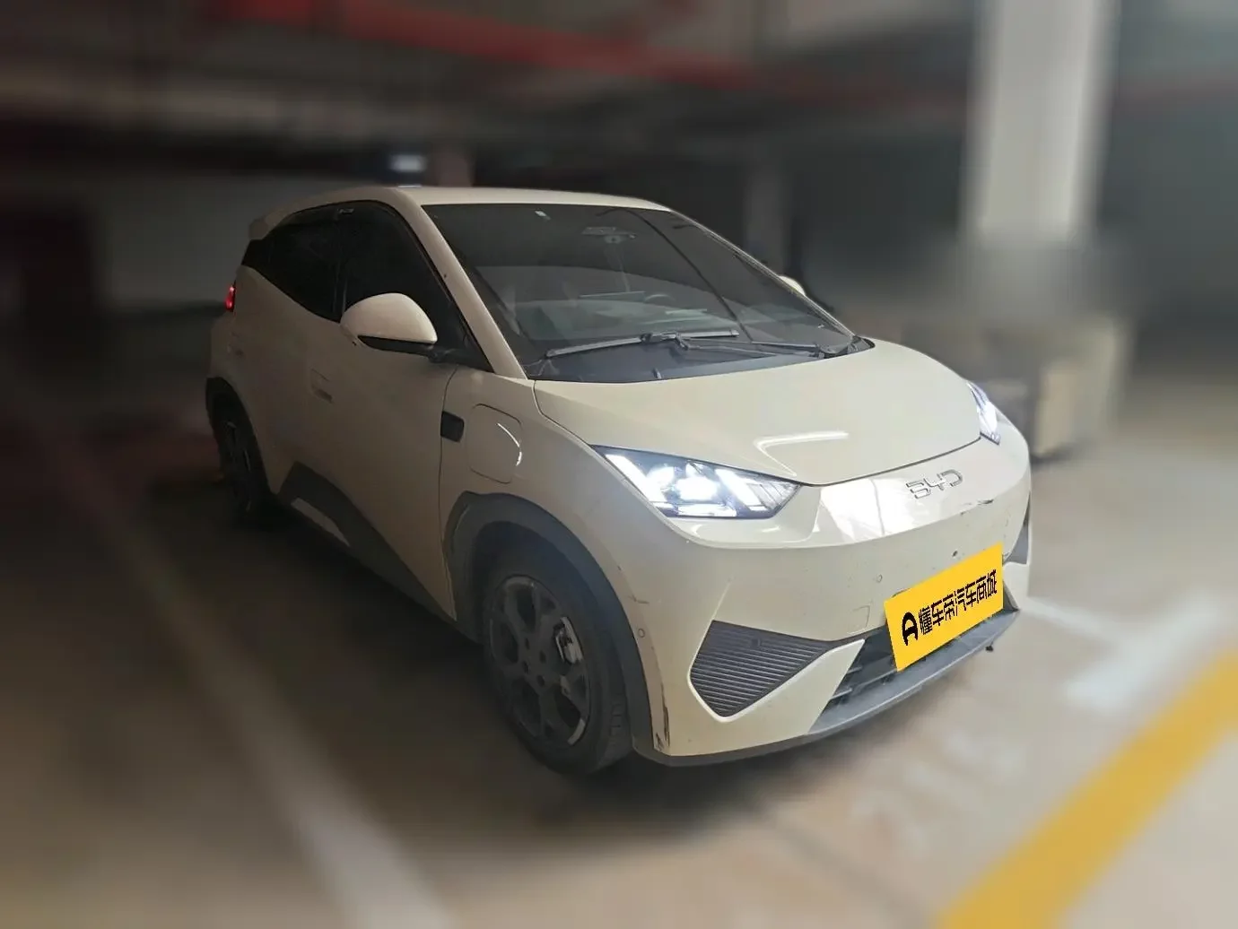 BYD seagull