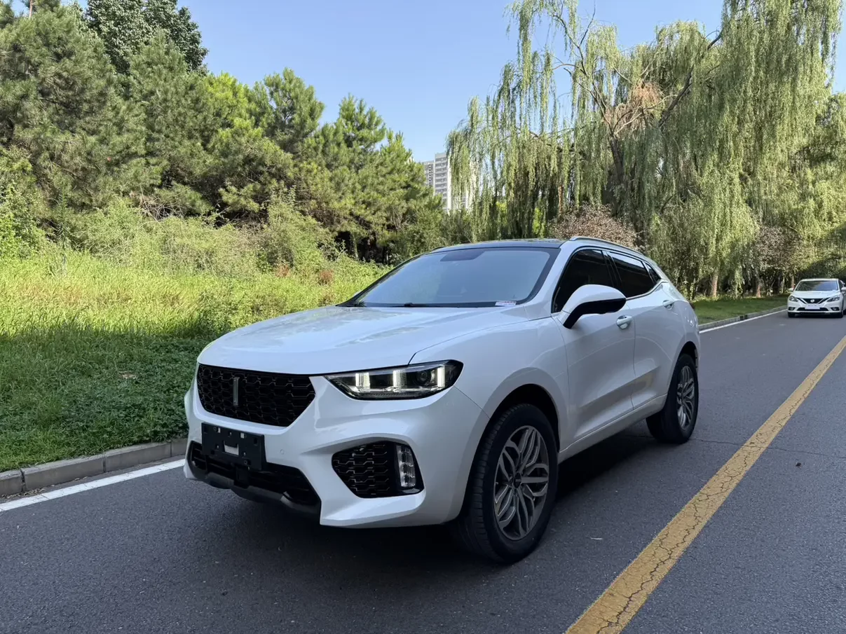 Wey Wei brand VV5