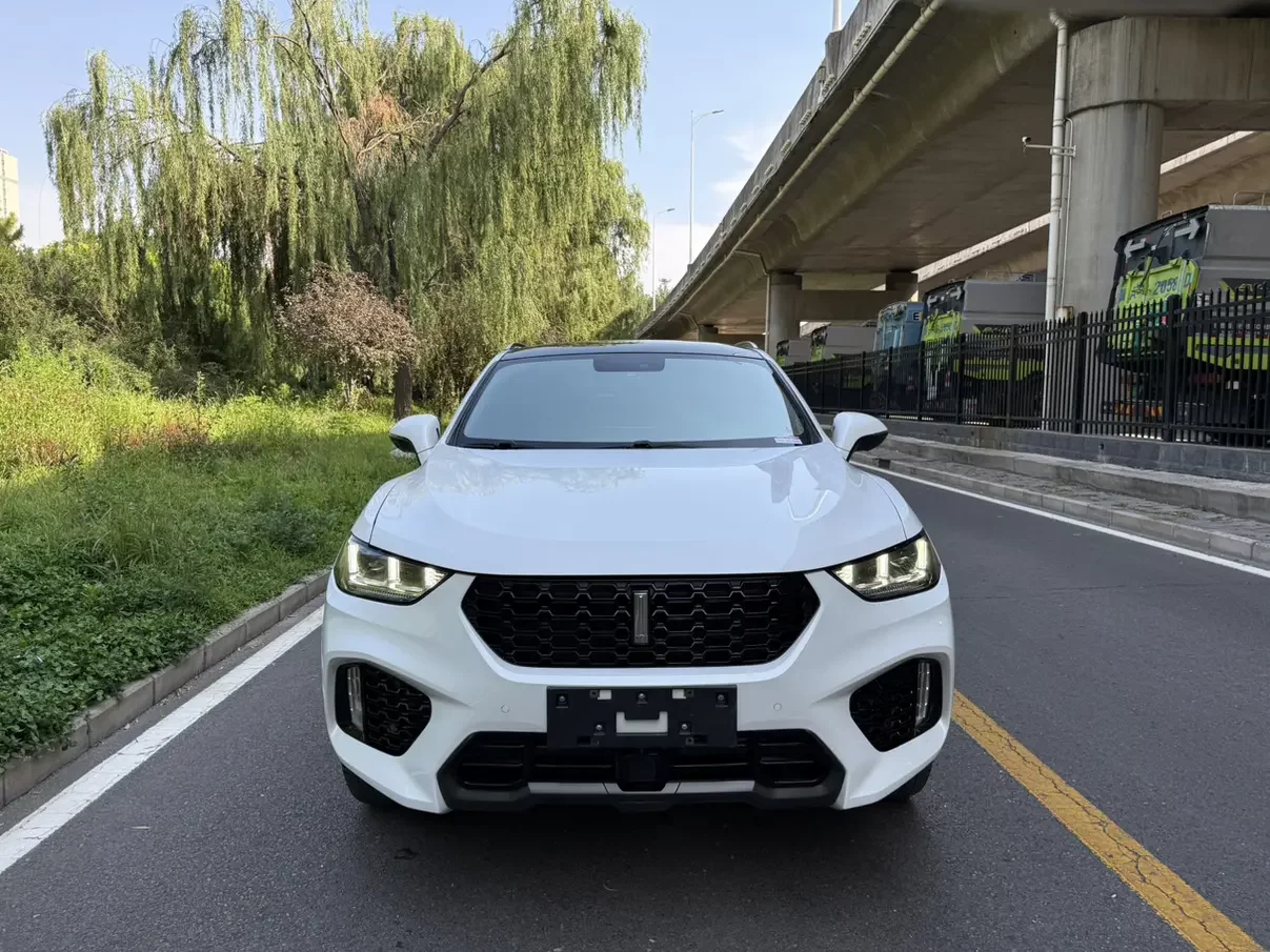 Wey Wei brand VV5