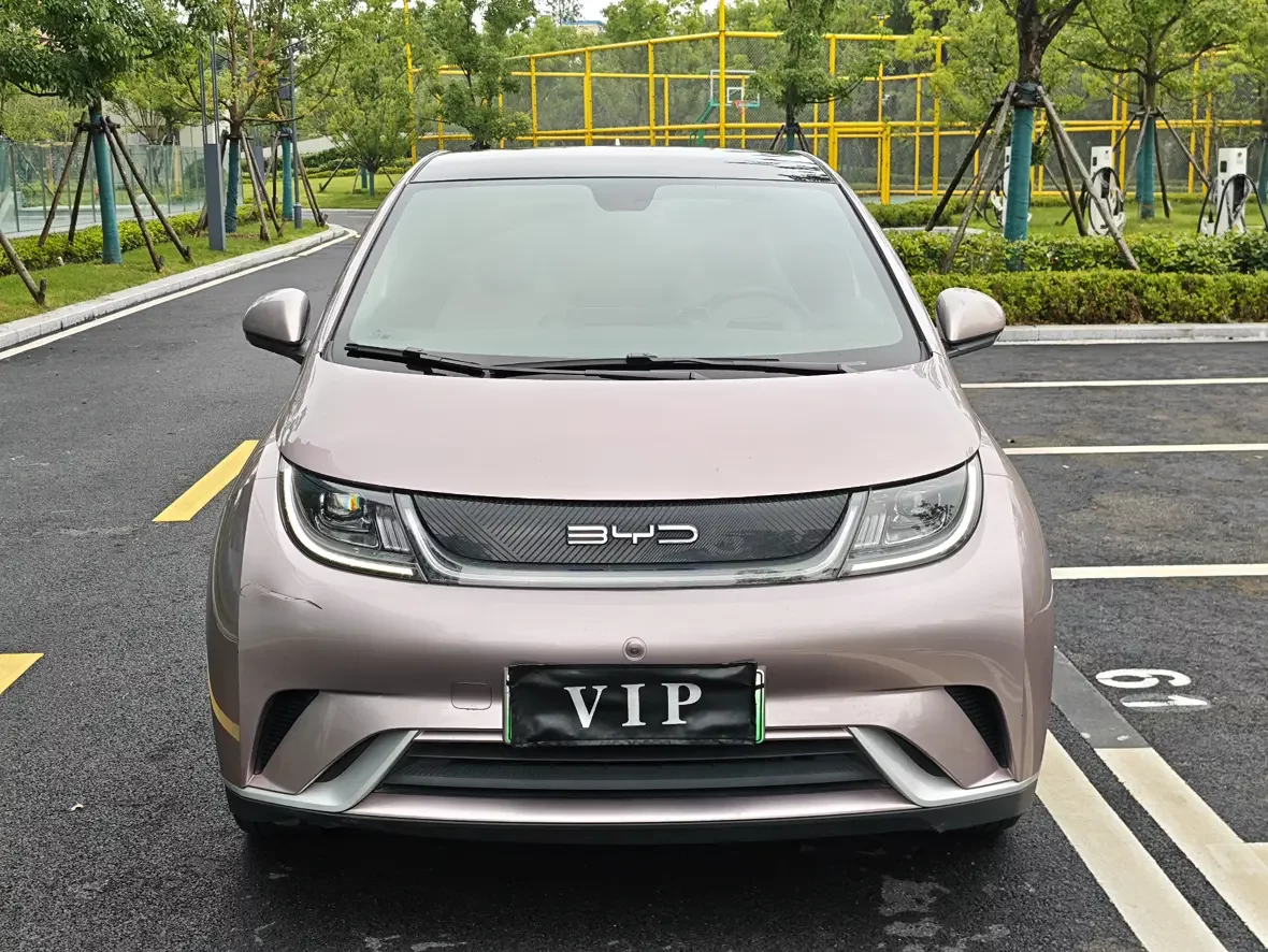 BYD dolphin
