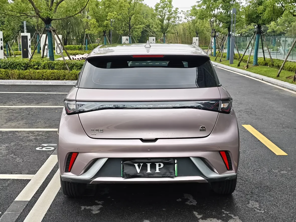 BYD dolphin