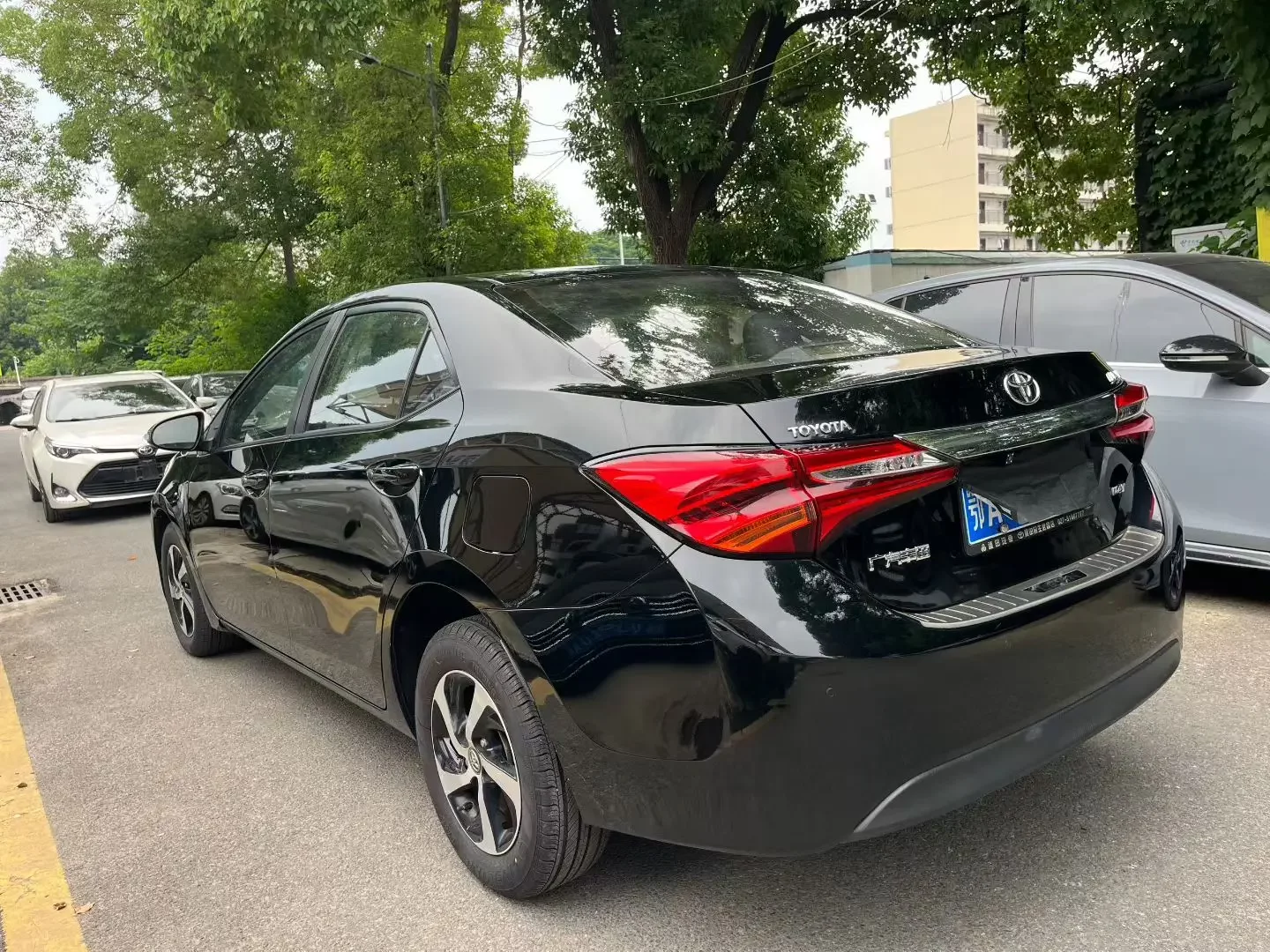 Toyota Levin