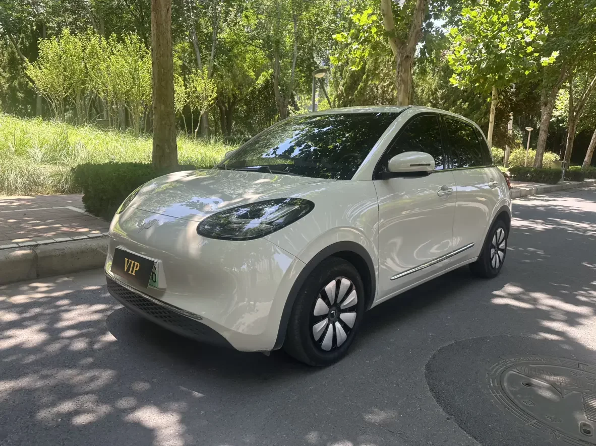 Wuling Bingo
