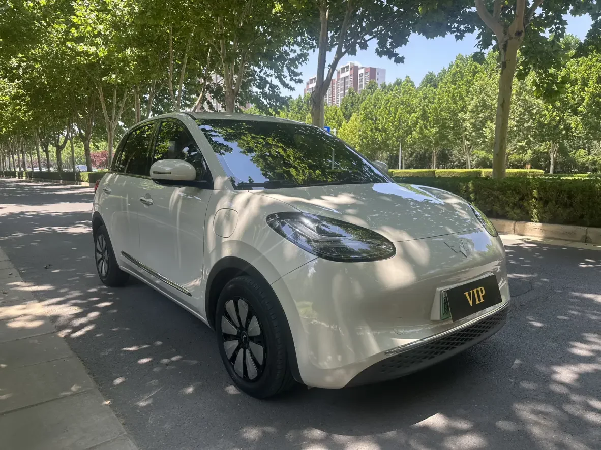 Wuling Bingo
