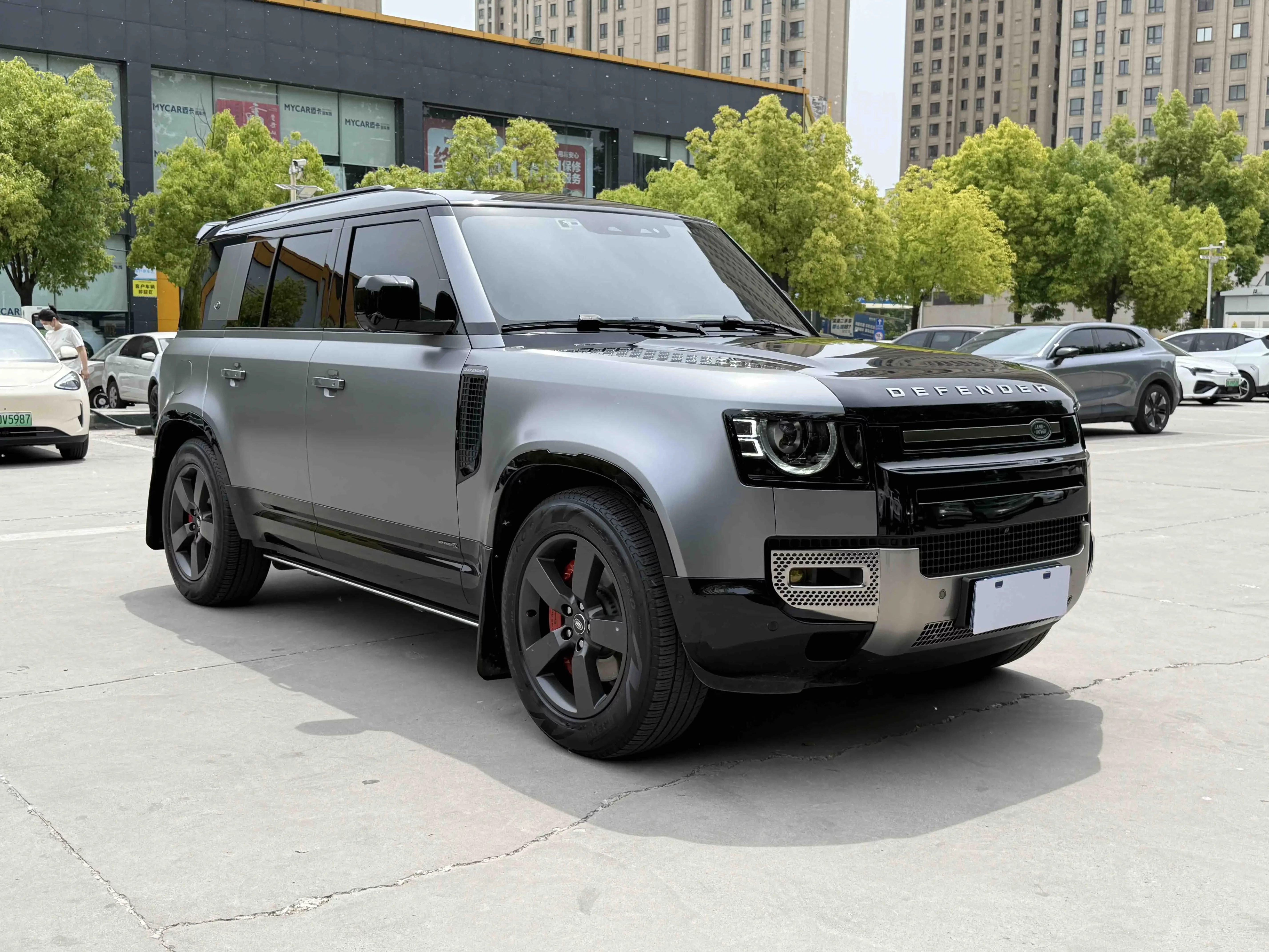 Land Rover guard