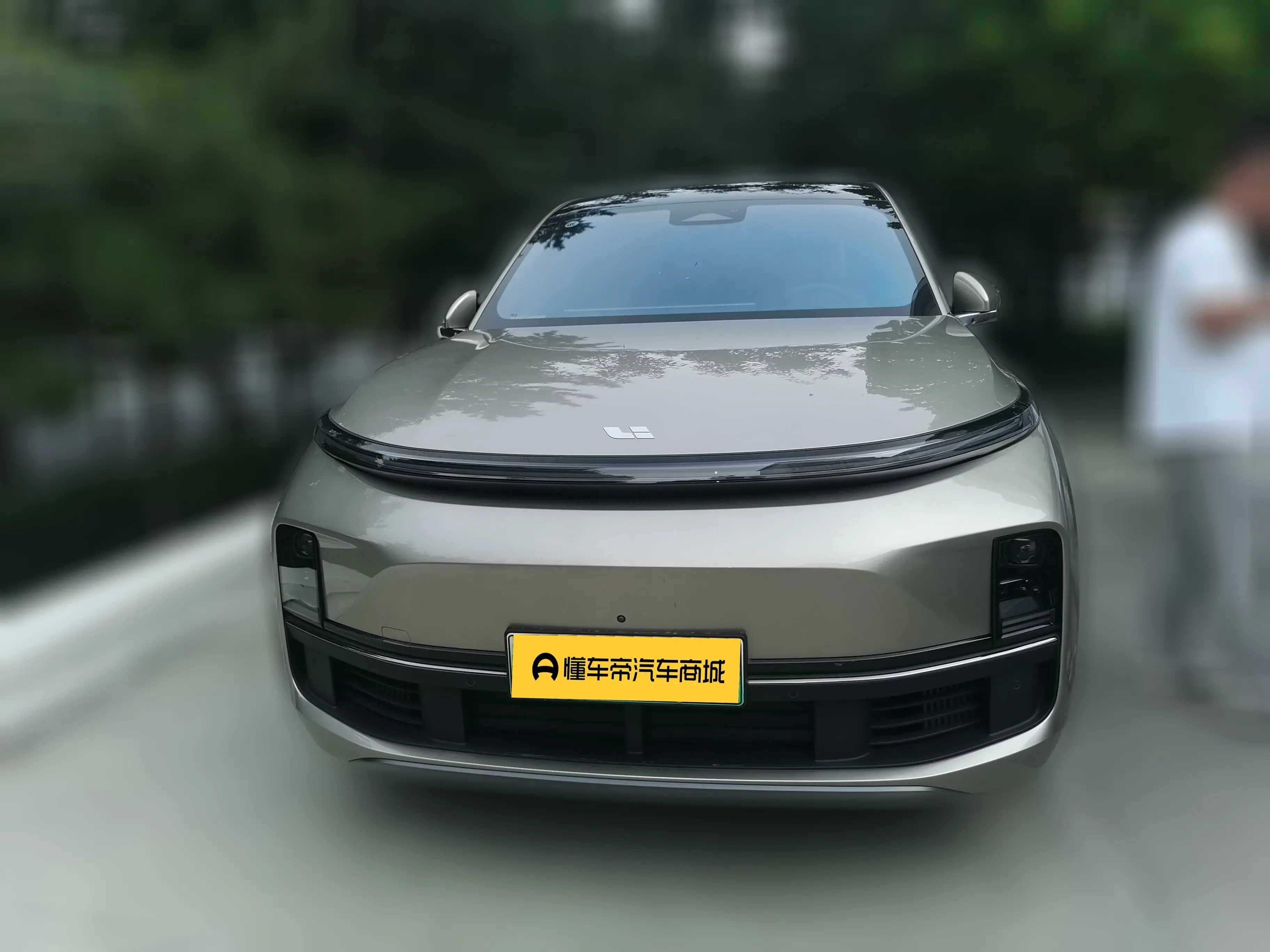 Lixiang L8