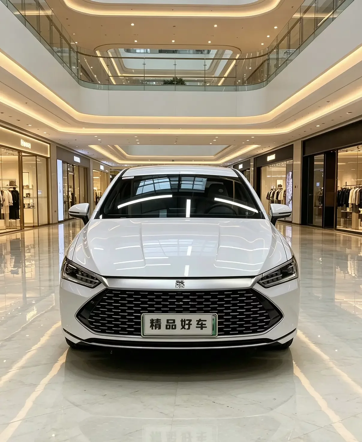 BYD Qin PLUS DM