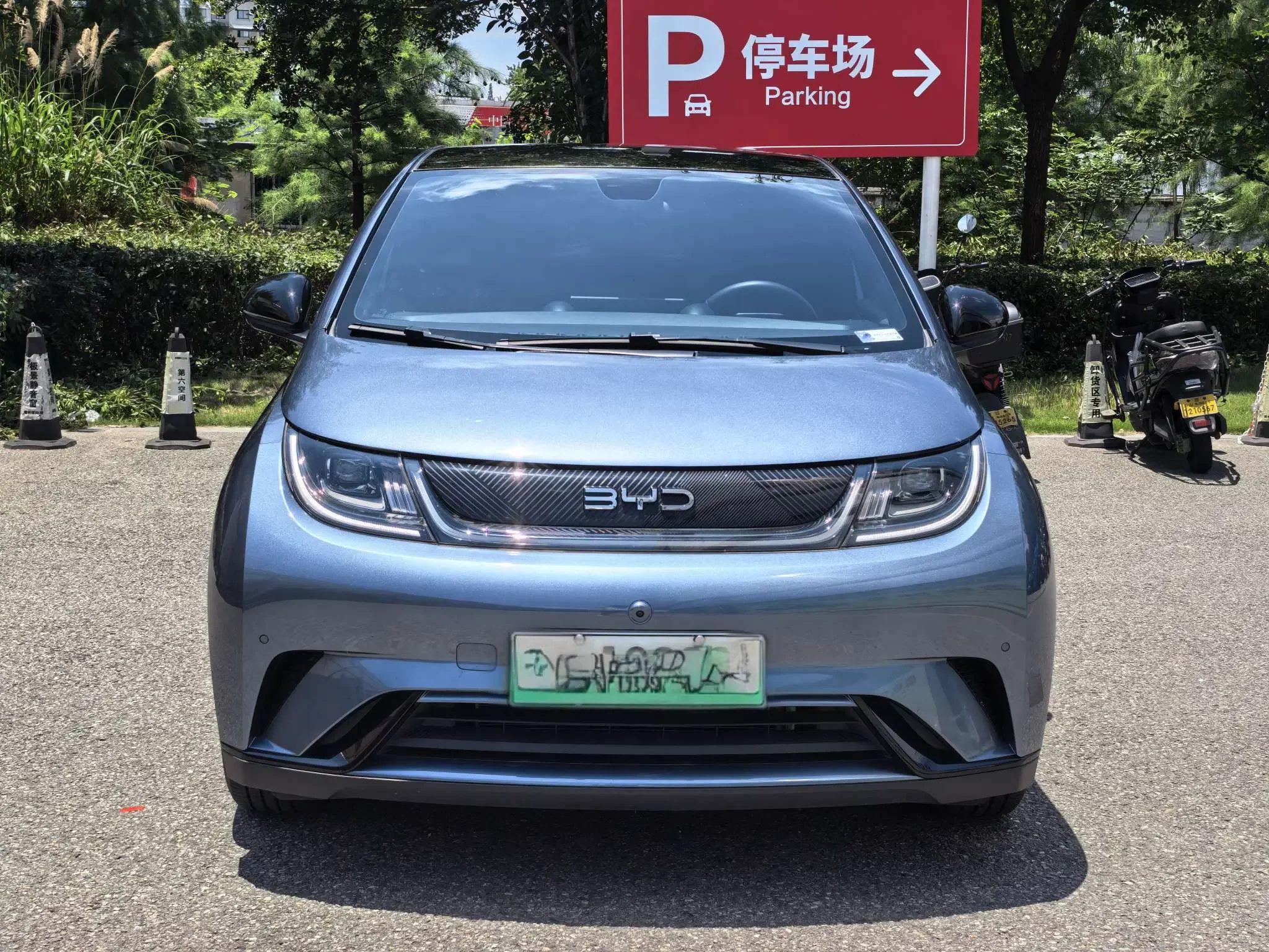 BYD dolphin
