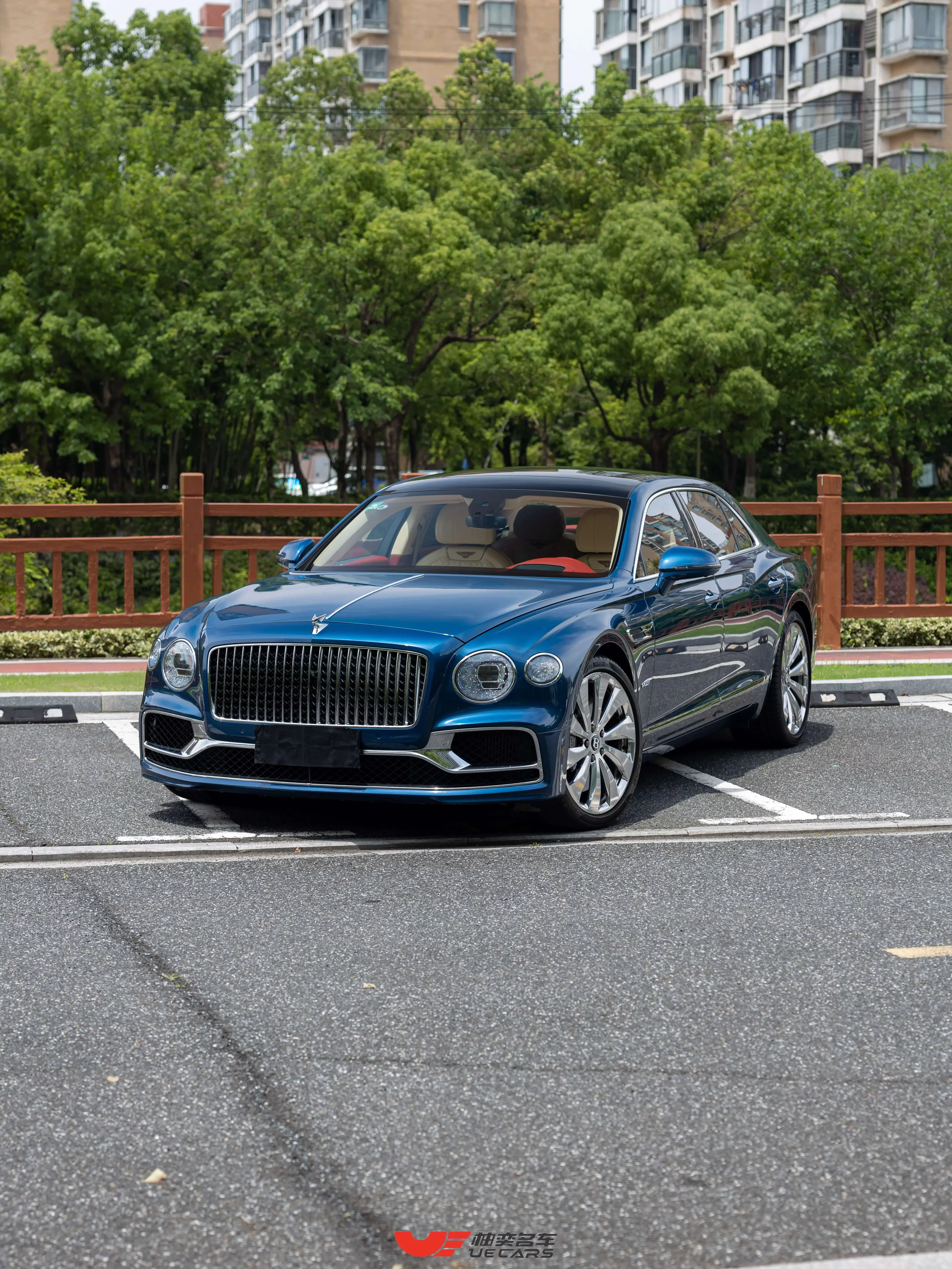 Bentley galloping