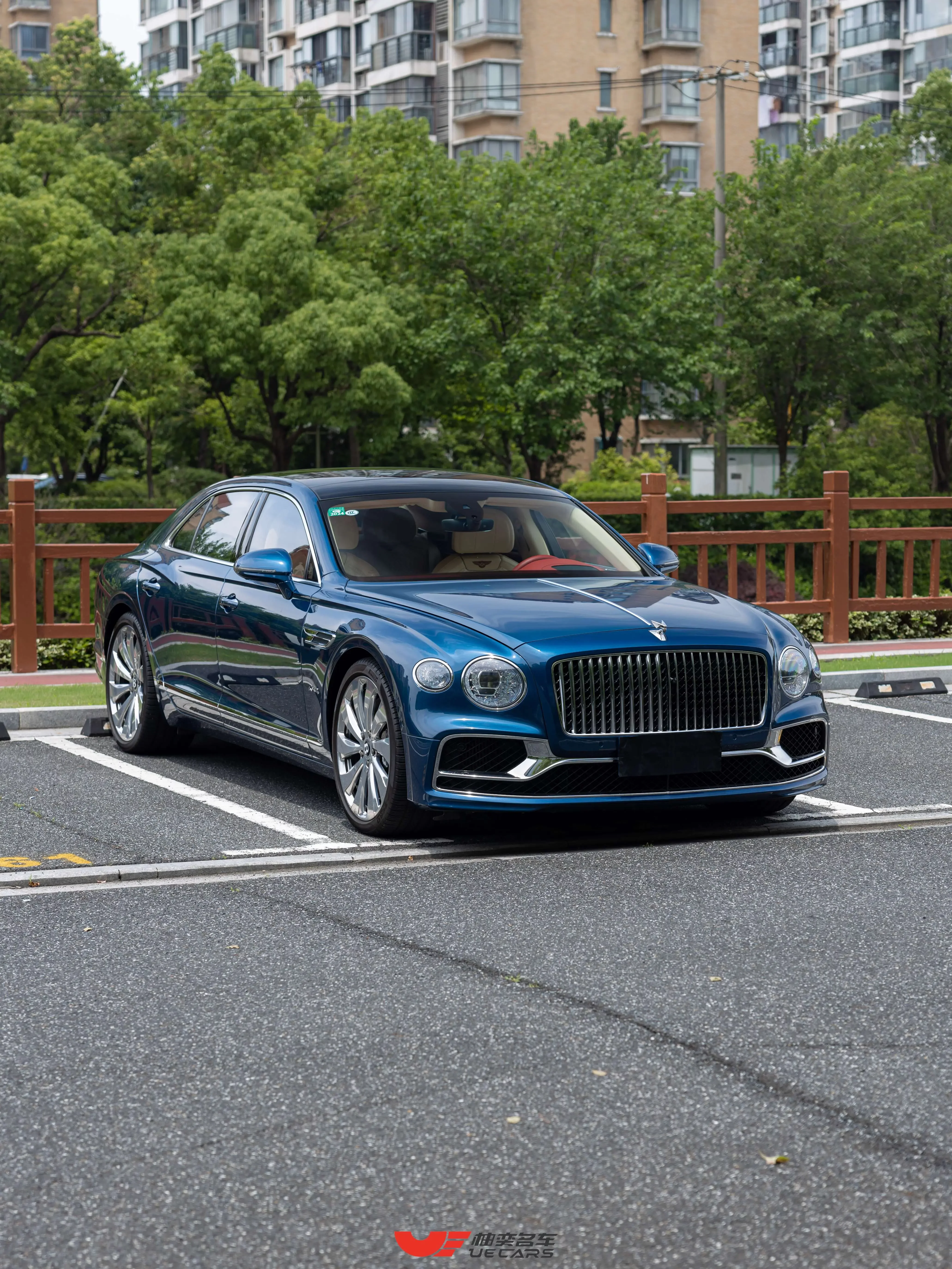 Bentley galloping