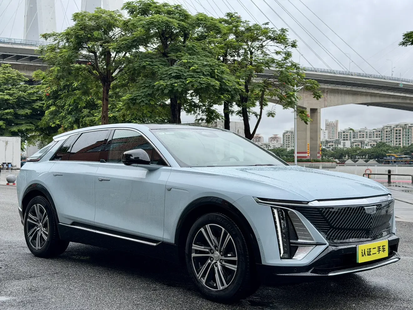 Cadillac IQ Ruige