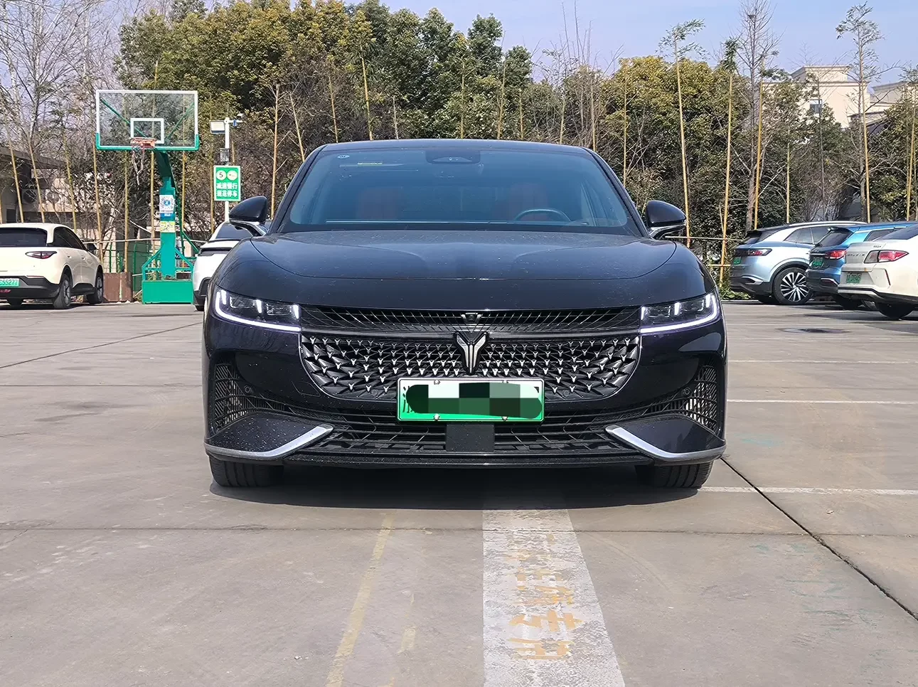 Voyah Passion PHEV