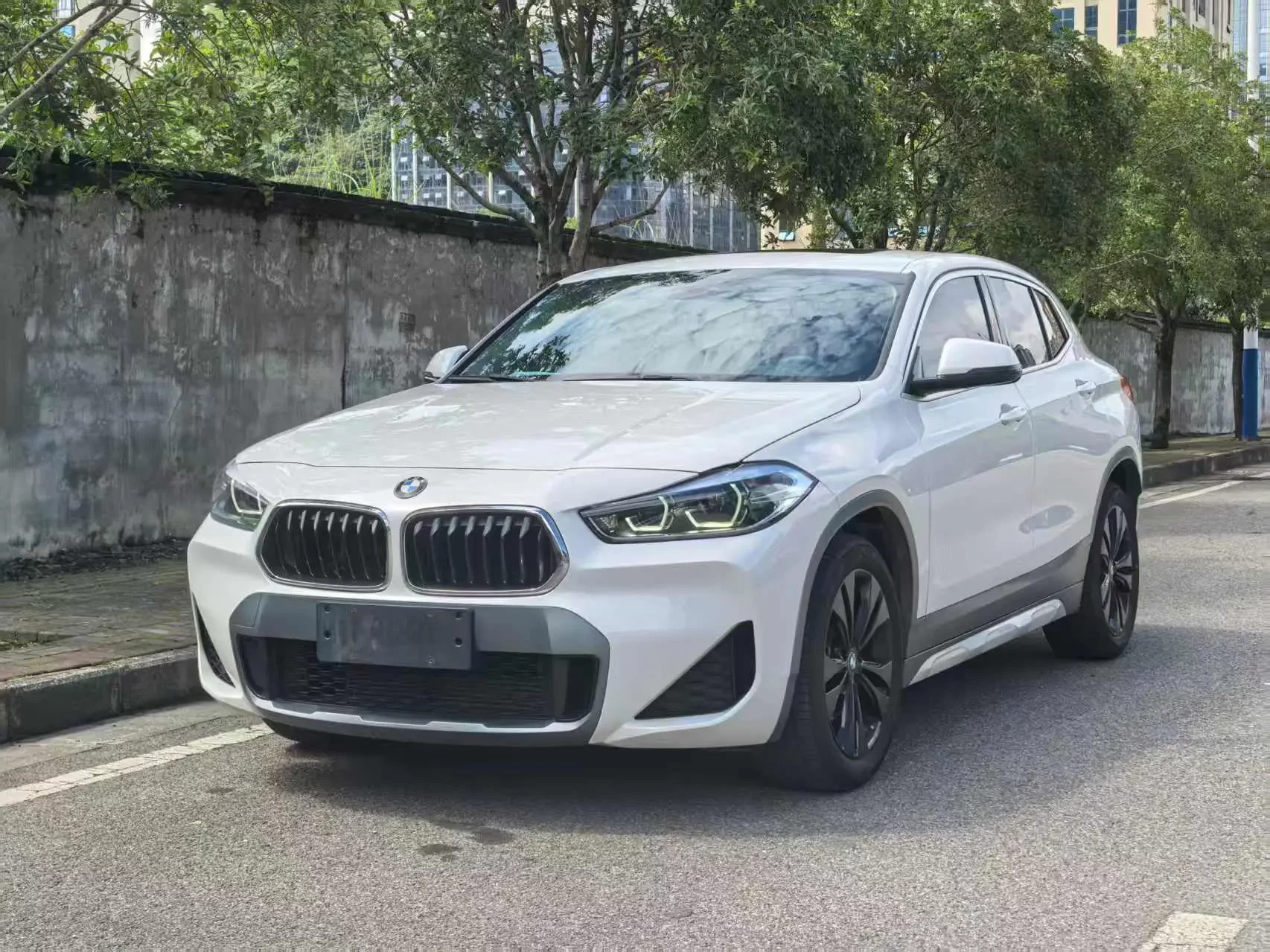 BMW X2