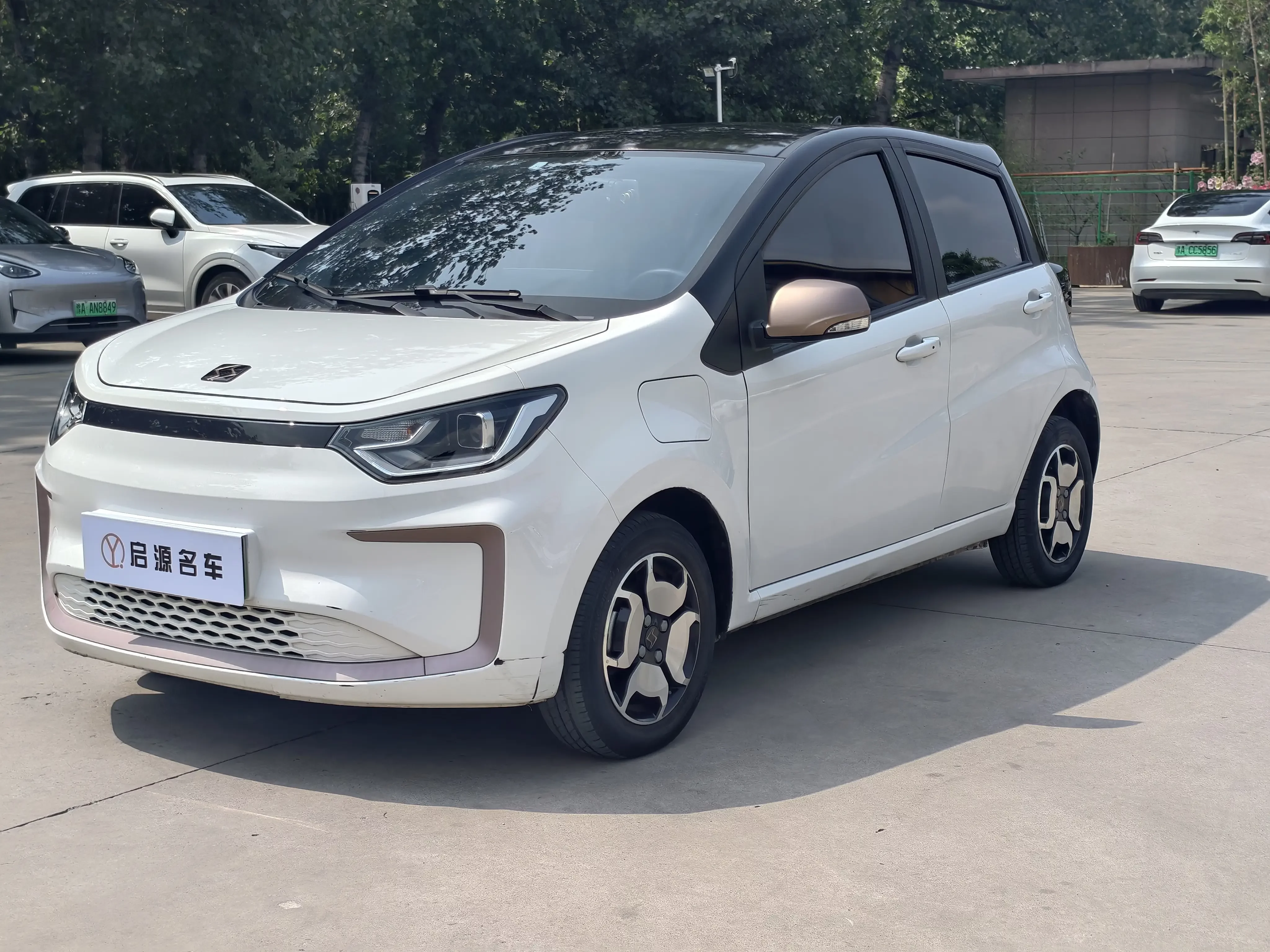 JAC (Sihao) Sihao Flower Fairy